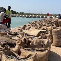 BAGS OF CASHEW NUTS AT THE PORT OF BANDIM, GUINEA-BISSAU (WIKIMEDIA COMMONS, 2023)
