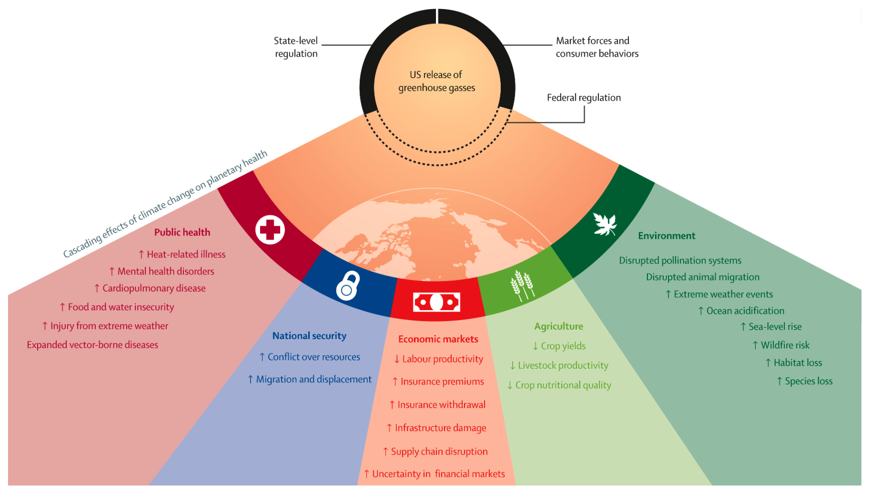 Cascading effects of climate change on planetary health in the absence of robust federal regulation in the USA