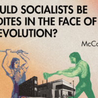 Should socialists be Luddites