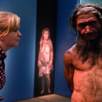 An employee of the Natural History Museum in London looks at model of a Neanderthal male in his twenties