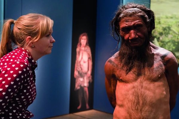 An employee of the Natural History Museum in London looks at model of a Neanderthal male in his twenties