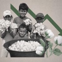 Design by Seif El-Din Ahmed/Al Manassa As capitalist agricultural models took root in the late 19th century, the international division of labor began to take a visible toll on Egyptian cotton.