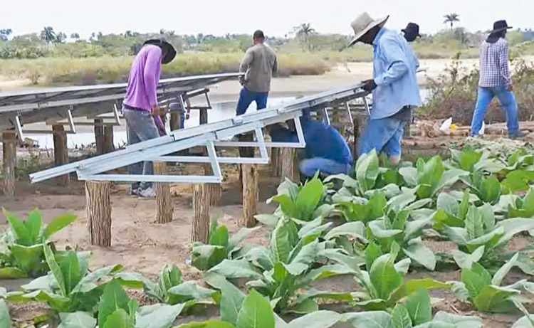 Cuban workers install solar panels powering pumps to irrigate crops, offsetting blackouts.