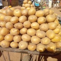 IRISH POTATOS AT BAKIN DOGO MARKET IN KADUNA NORTH, NIGERIA (WIKIMEDIA COMMONS, 2025)