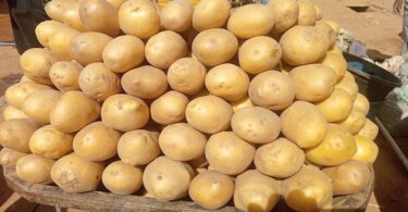 IRISH POTATOS AT BAKIN DOGO MARKET IN KADUNA NORTH, NIGERIA (WIKIMEDIA COMMONS, 2025)