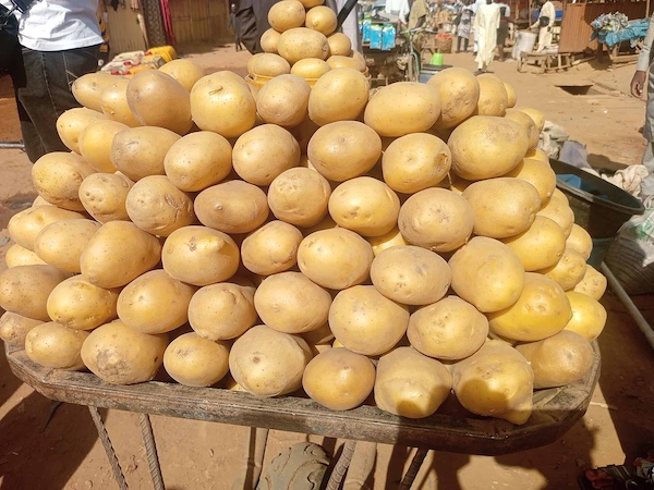 IRISH POTATOS AT BAKIN DOGO MARKET IN KADUNA NORTH, NIGERIA (WIKIMEDIA COMMONS, 2025)