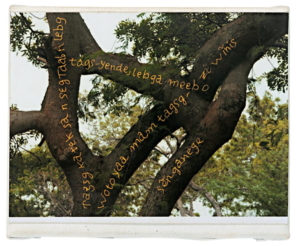 Talato Michel Zangre (Burkina Faso), Encuentro de Ideas, 2014.