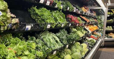 Vegetables and lettuces at a grocery store in Michigan. A summer of food recalls, including the record-shattering cyclosporiasis outbreak tied to iceberg lettuce that has sickened thousands, has raised many Americans’ fears of contracting a foodborne illness. (Photo by Jon King/Michigan Advance)