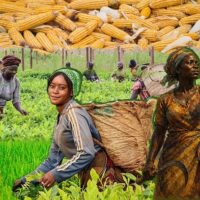 Farmers