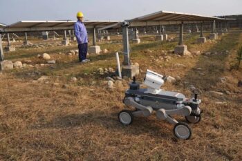 A worker observes a robotic dog at a solar power station operated by Huadian New Energy Development Co Ltd in Beijing, September 23, 2026 [Pic: AP Photo/Achmad Ibrahim]