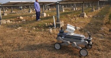 A worker observes a robotic dog at a solar power station operated by Huadian New Energy Development Co Ltd in Beijing, September 23, 2026 [Pic: AP Photo/Achmad Ibrahim]