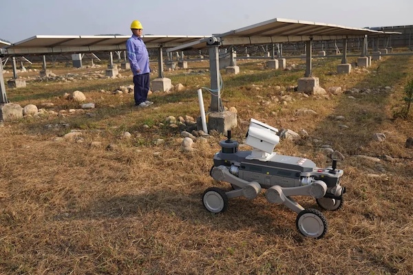 A worker observes a robotic dog at a solar power station operated by Huadian New Energy Development Co Ltd in Beijing, September 23, 2026 [Pic: AP Photo/Achmad Ibrahim]