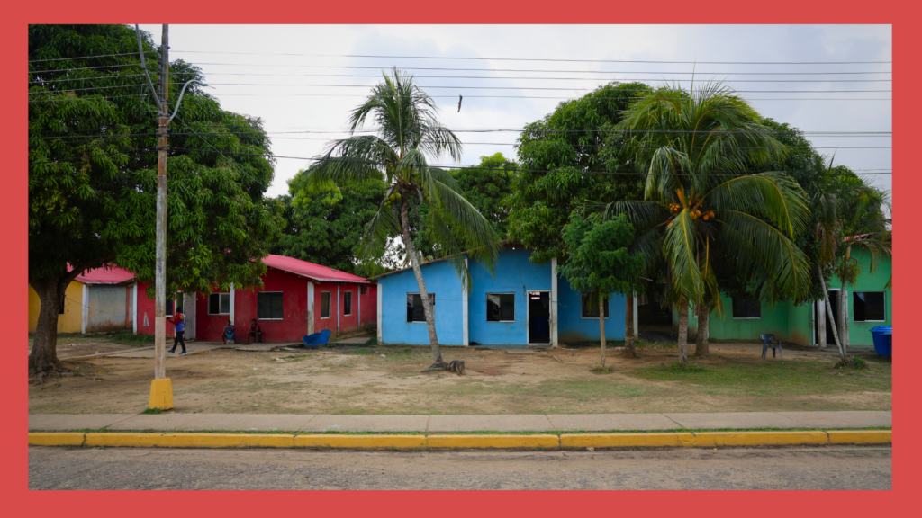 Houses of the Janokosebe community. Photo: Cira Pascual Marquina and Chris Gilbert.