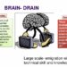 BRAIN DRAIN slideshare.net