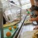 The Trump regime has already cut $660 million nationwide for school lunch programs. Twelve million students are expected to lose food aid with new restrictions on schools accessing funds.