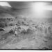 A black and white image of a young man facing a herd of sheep in a valley.